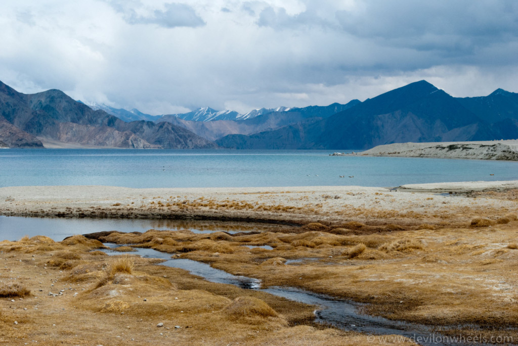 Travel Guide for Pangong Tso Lake in Ladakh