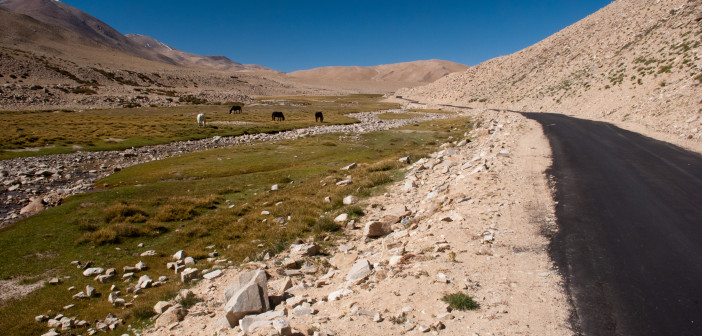 The wilderness of Changthang