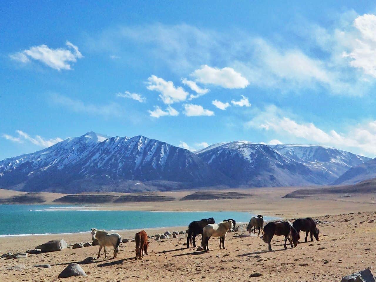 COMPLETE Leh Ladakh FAQs - Planning, Sightseeing & Routes