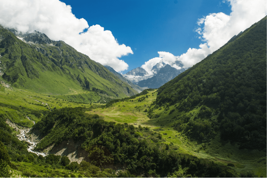 Beautiful Views while trekking in Valley of Flowers