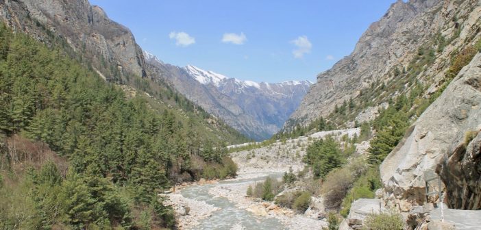 Bhagirathi river that gives you company throughout the trek