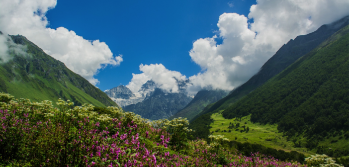 Valley of Flowers Trek – A COMPLETE Travel Guide for Travelers