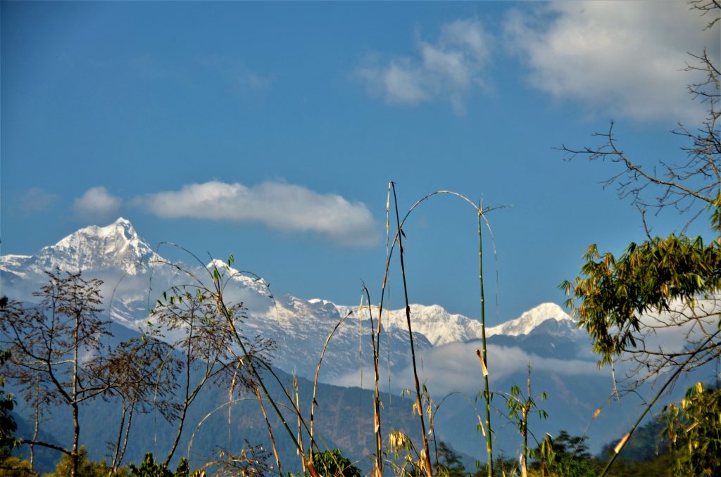  The snowy Kanchenjunga massifs