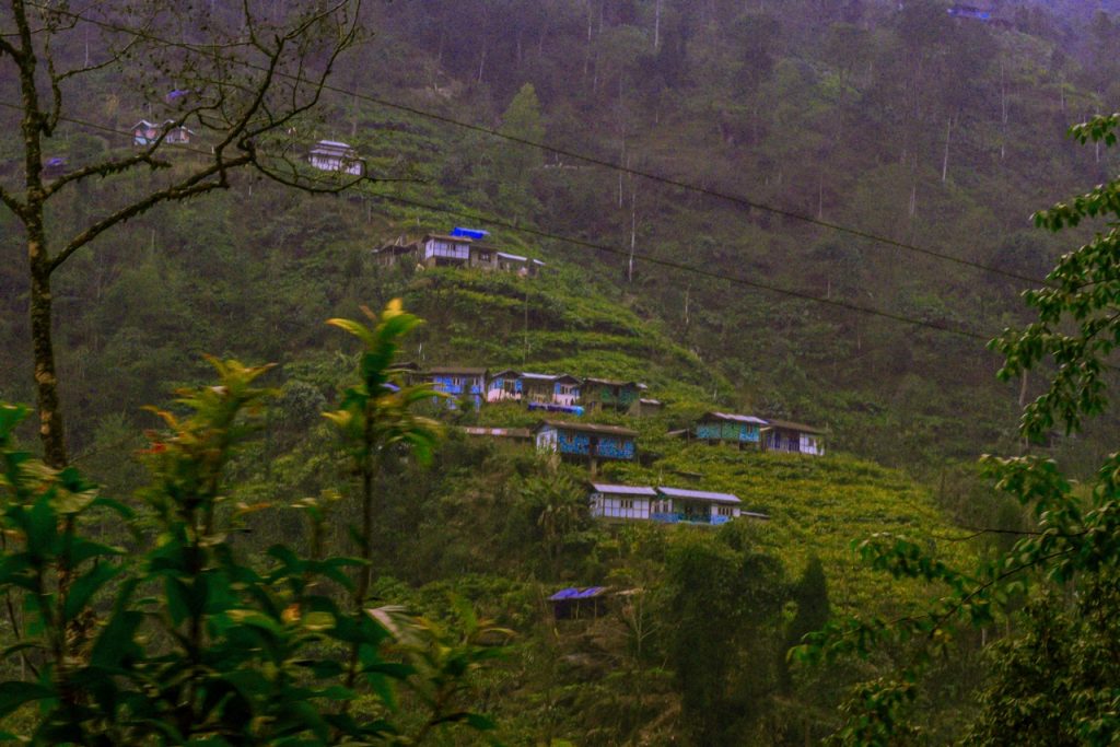 The View of Pelling