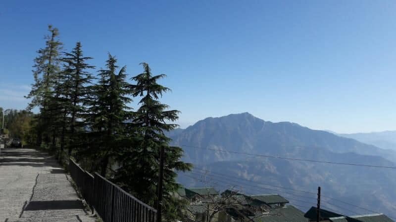 Mashobra, Shimla, Offbeat, himalayas, pines, cedars