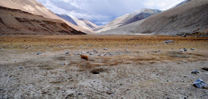 The boundless beauty of Ladakh near Tangtse