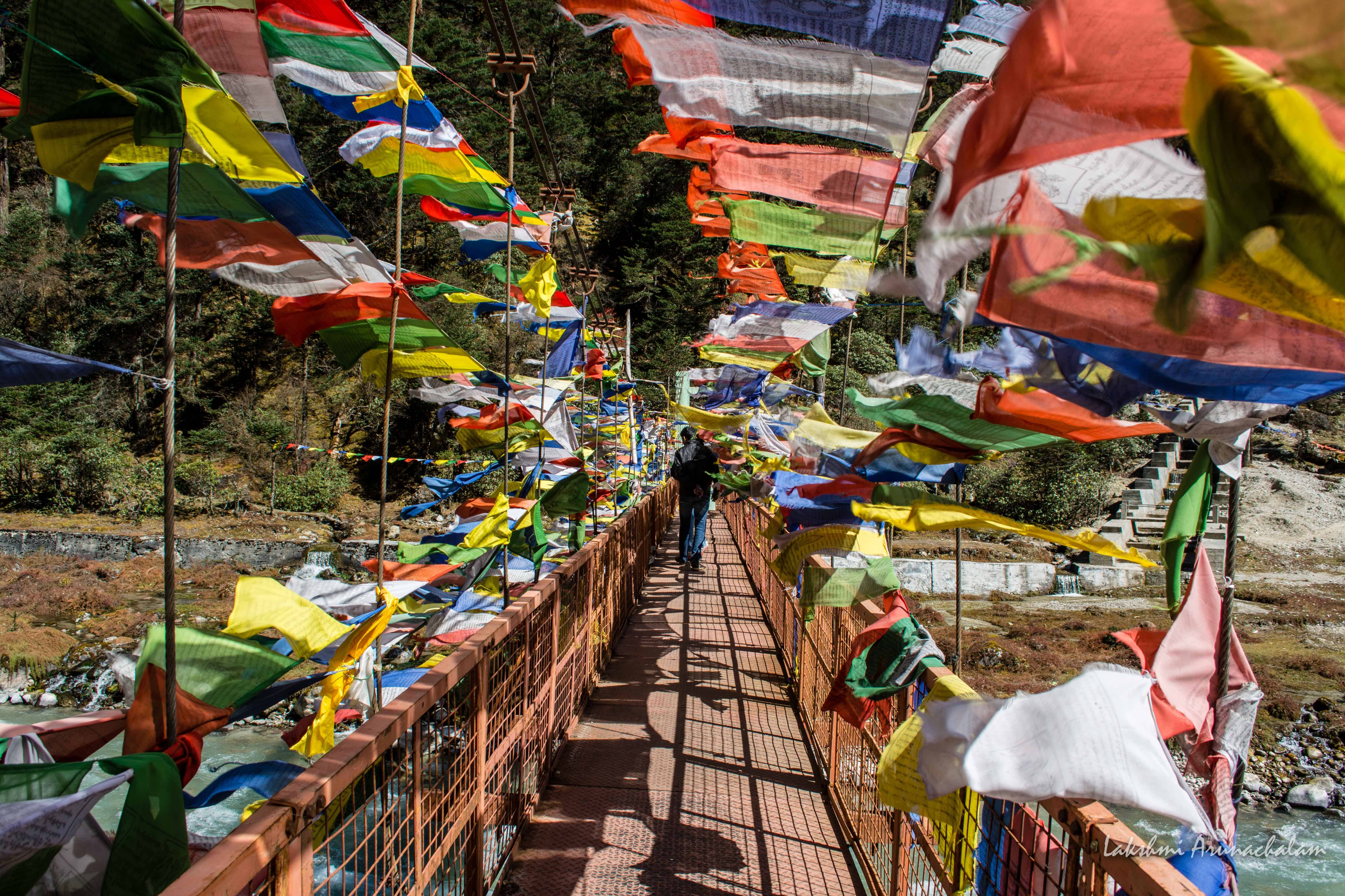 Walk past the flags to reach Hotsprings, Yumthang