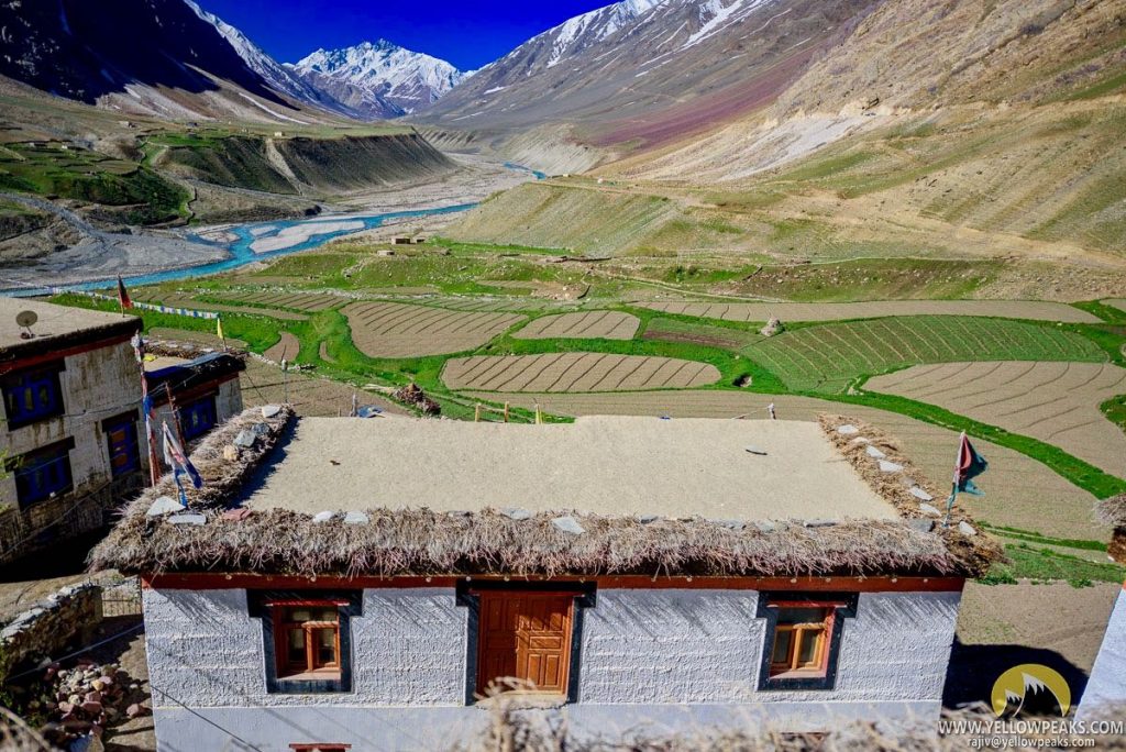 Magnificent view in Pin Valley - Mudh Village 