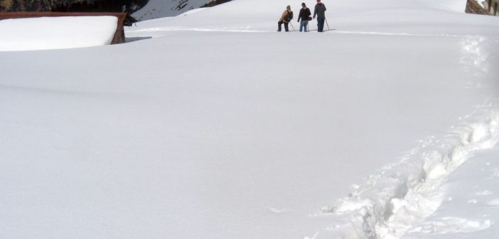 Snow trekking in the Himalayas