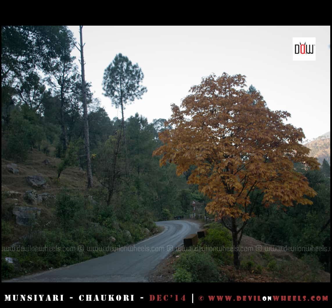 Road conditions between Chaukori - Munsiyari