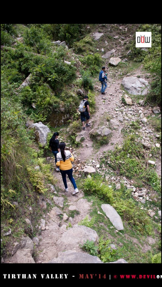 Trek to waterfall in Tirthan Valley with Family