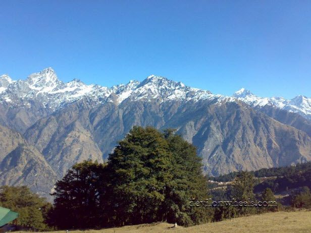 Views from Auli
